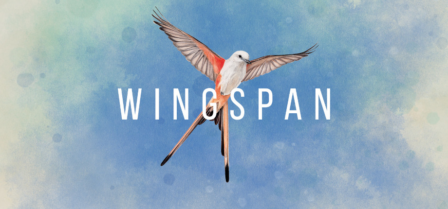 Buy Wingspan at The Best Price - Bolrix Games