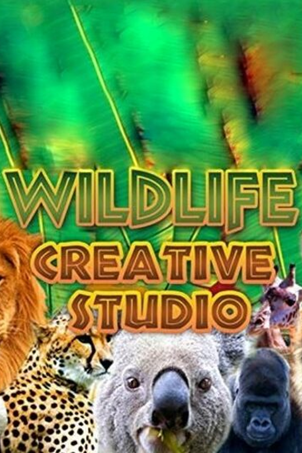 Buy Wildlife Creative Studio Cheap - Bolrix Games